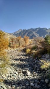 Empty stream bed at Old Mill Park